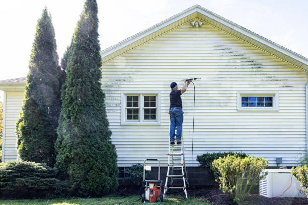 Best House Exterior Washing  in Wheaton, MD